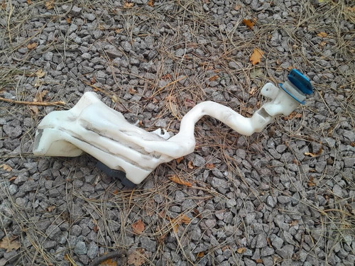 Beetle washer bottle with - beetle,