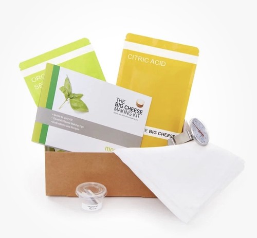 The big cheese making kit - cheese,