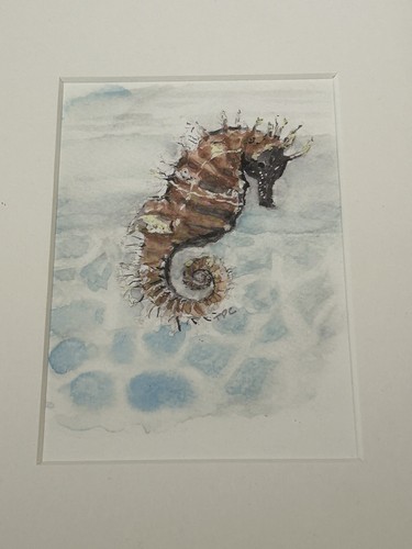 Solo seahorse framed - ‘solo,