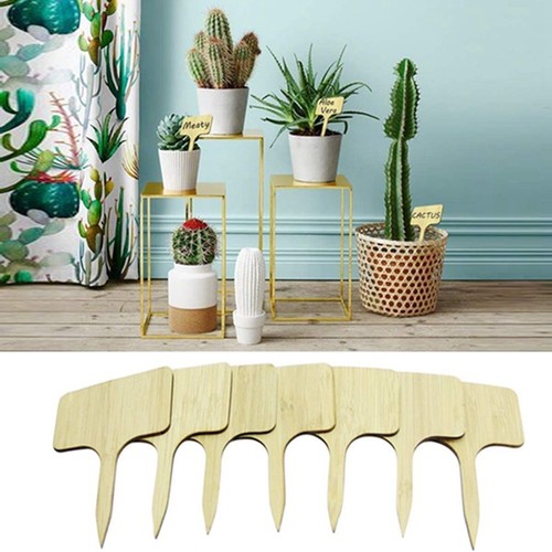 Wooden plant stakes - wooden,