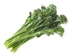 Vegetable Plants - Broccoli