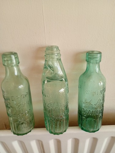 Three lyons snowdrop half - three, j