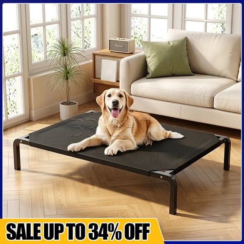 Elevated dog bed pet - dog, mesh