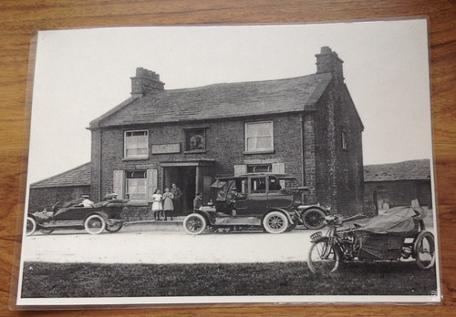 Print showing 1920s cat - print,