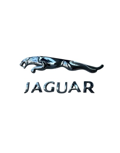 Jaguar rear trunk - jaguar, xj