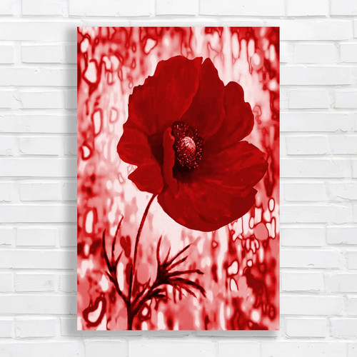 Vibrant red poppy - vibrant, canvas