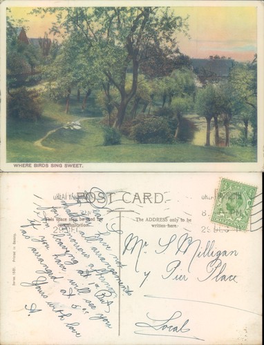 Landscape view with trees and