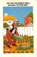 SAPPHIRE  COMIC POSTCARD NO 44