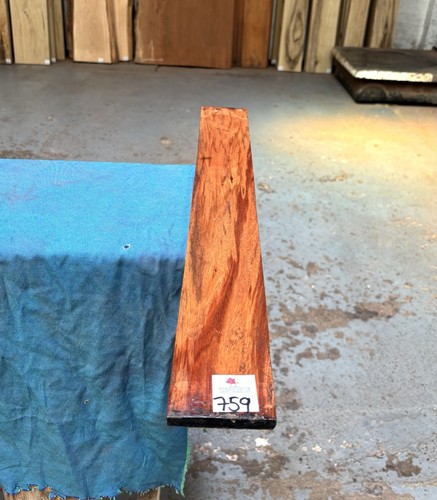 Xylia guitar fingerboard - fingerboard, /