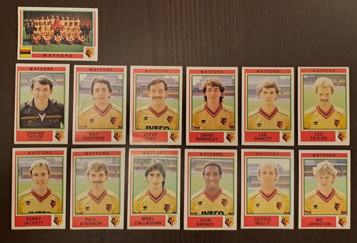 Panini football watford - football,