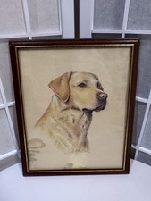 Large Picture Of A Blind