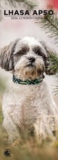 Lhasa Apso Dog 2026 Slim Calendars
