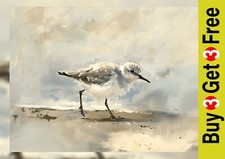 Soft Sandpiper Walk 5"x7"