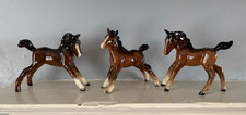 Beswick Bay/Brown Foals x 3 