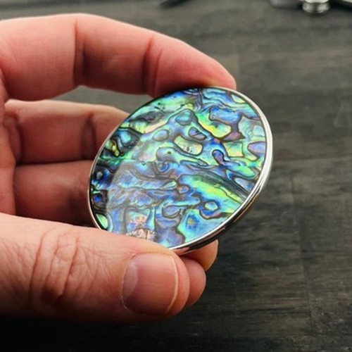 Large abalone paua shell round - large,