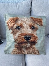 Super Soft Irish Terrier