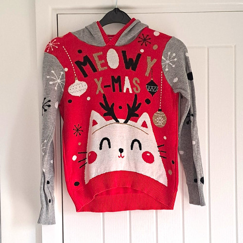 Kids christmas cat hooded - christmas,
