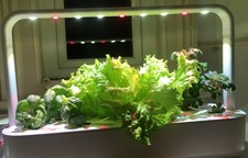 Click & Grow Smart Garden 9