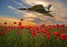Avro Vulcan XH558 over poppy