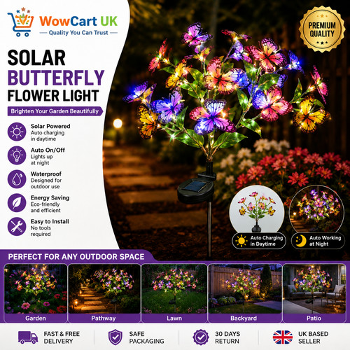 Solar butterfly flower - butterfly,