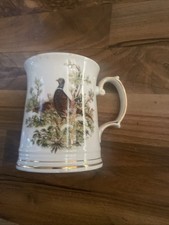 Elizabethan staffordshire - elizabethan,