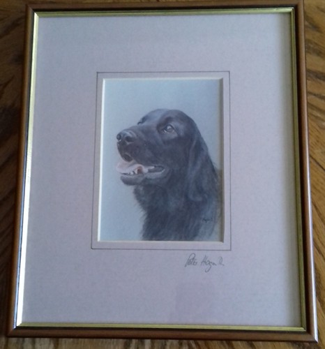 Peter hogarth signed limited - peter,