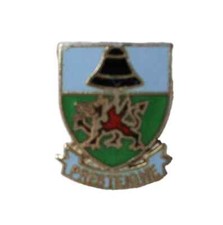 Presteigne Powys Wales Quality Enamel Lapel Pin Badge