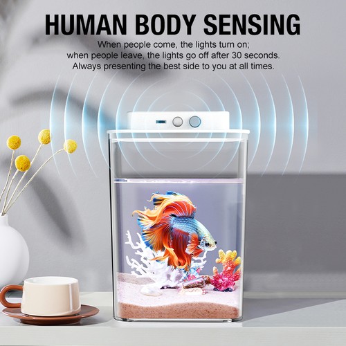 New desktop fish - , tank,