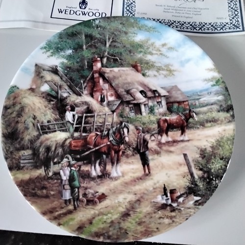 Wedgwood decorated plate