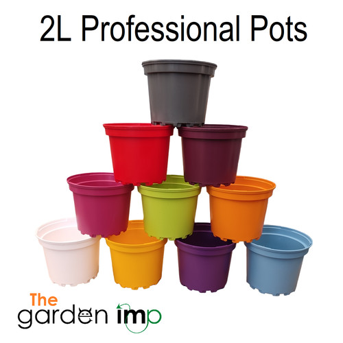 Coloured plastic plant pots - plastic,