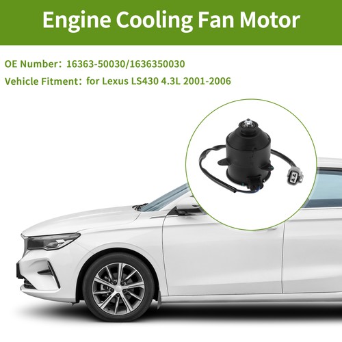 Radiator fan motor - fan,