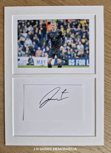 Swansea city jay - jay, fulton