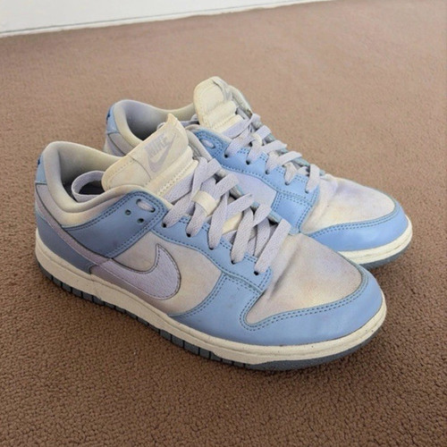 Nike dunks unisex adults low - nike,