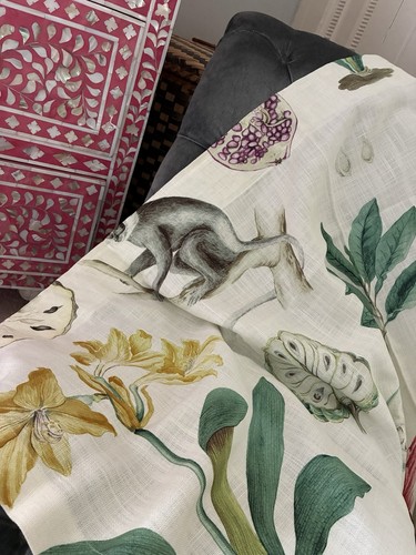 3ft beautiful sanderson - 4.3ft,