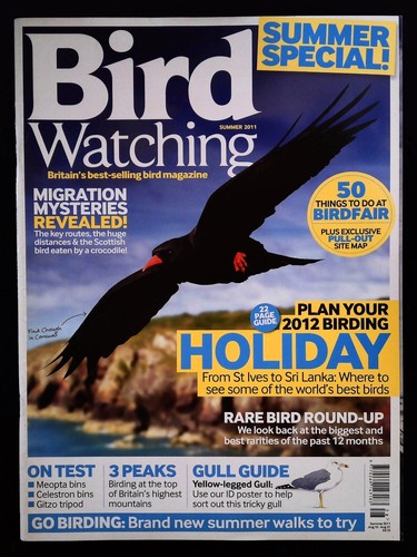 Bird watching magazine summer - watching,