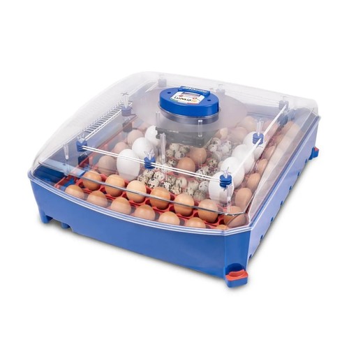 Borotto lumia egg incubator - lumia,