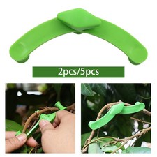 Fruit Tree Branch Limb