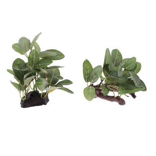 2pack set reptile terrarium - 2pack/set,