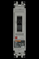 MERLIN GERIN 63 AMP 25kA MCCB