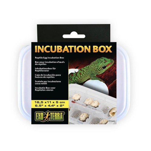 Exo terra incubation box - incubation,