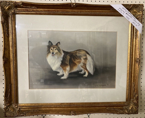 Sheltie dog original - sheltie,