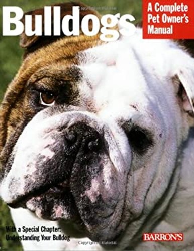 Bulldogs everything about - bulldogs, :