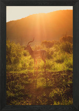 Landscapes of South Africa