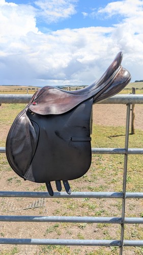 Albion kontrol jump - jump, saddle