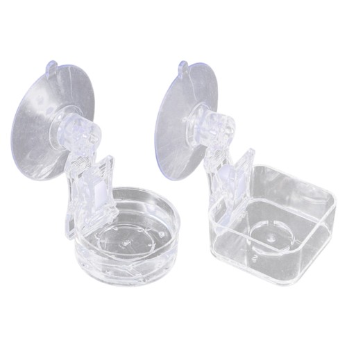 Reptiles bowl for - reptiles,