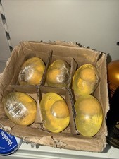  1× Collagen Beauty Egg Yolk