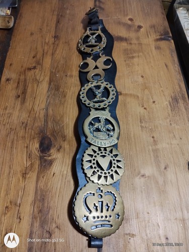 Vintage leather horse brass - vintage,