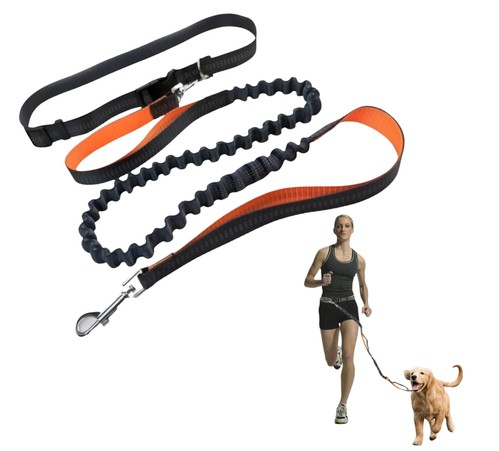 Dog leash for running and - dog,
