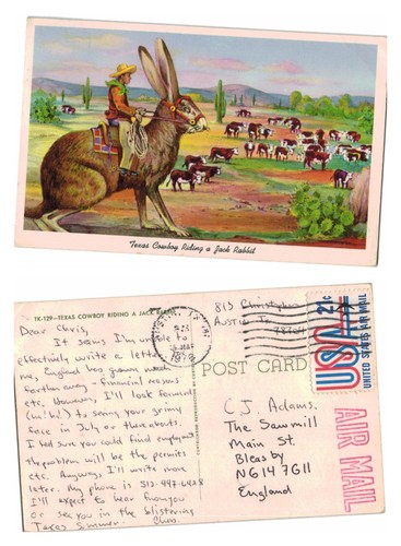 Vintage postcard texas - vintage,