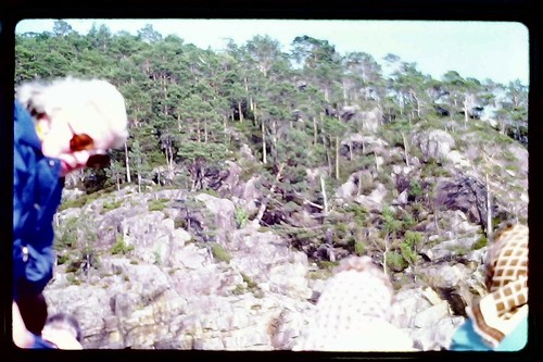 1978 35mm colour photo slide - 35mm,